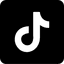 tiktok logo